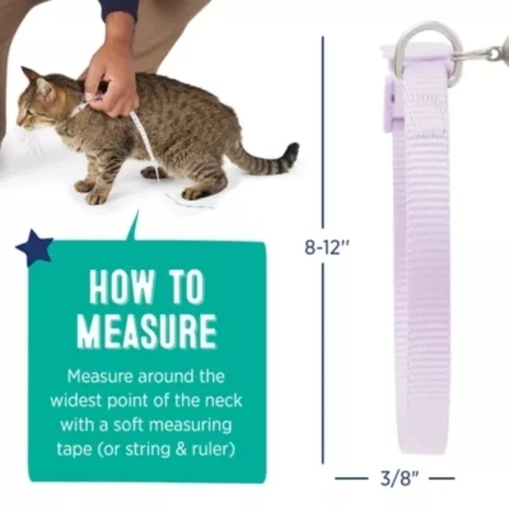 Whisker City Exclusive Lavender Purple Easy Release Adult Cat Collar 8-12in NWT